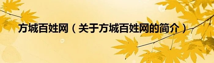 方城百姓网（关于方城百姓网的简介）
