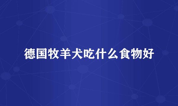 德国牧羊犬吃什么食物好
