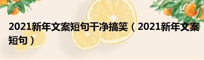 2021新年文案短句干净搞笑（2021新年文案短句）
