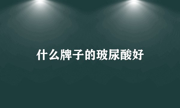 什么牌子的玻尿酸好