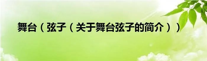 舞台(弦子(关于舞台弦子的简介))
