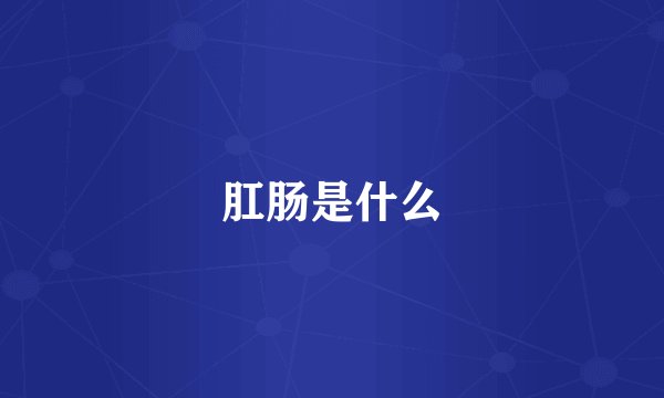 肛肠是什么