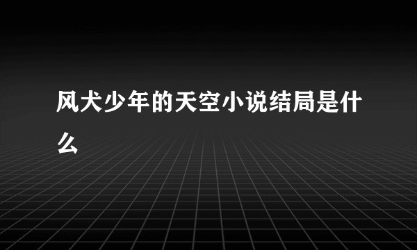 风犬少年的天空小说结局是什么