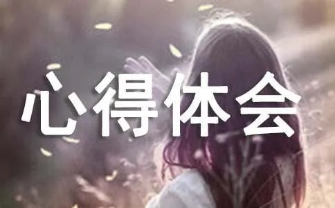 网页设计的心得体会