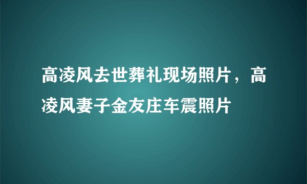 高凌风去世葬礼现场照片,高凌风妻子金友庄车震照片
