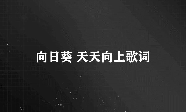 向日葵 天天向上歌词