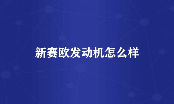 新赛欧发动机怎么样