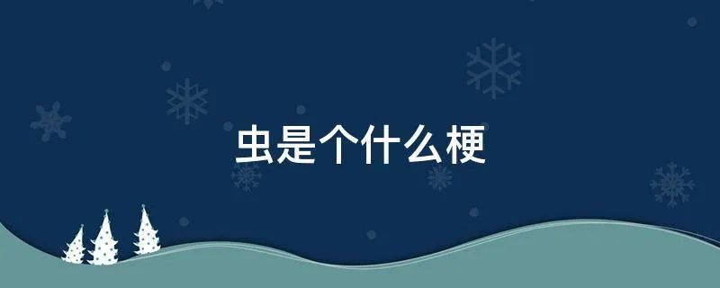 虫是个什么梗