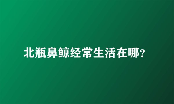 北瓶鼻鲸经常生活在哪？