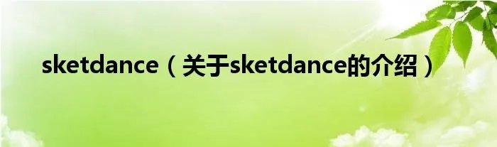 sketdance(关于sketdance的介绍)