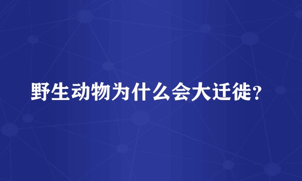 野生动物为什么会大迁徙？