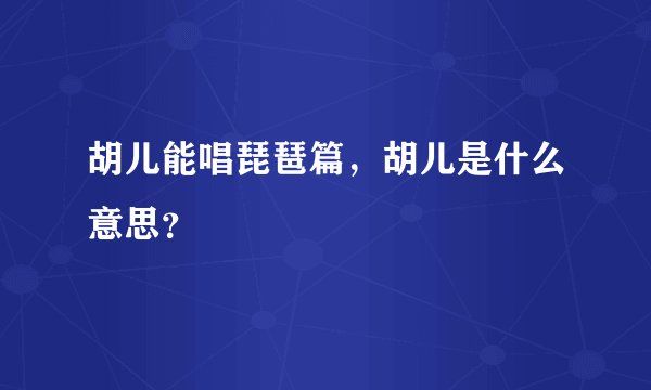 胡儿能唱琵琶篇，胡儿是什么意思？