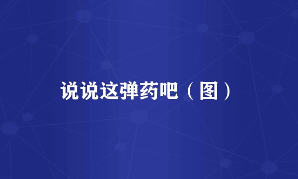 说说这弹药吧（图）
