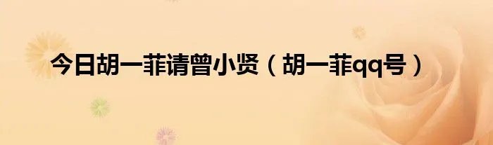 今日胡一菲请曾小贤（胡一菲qq号）