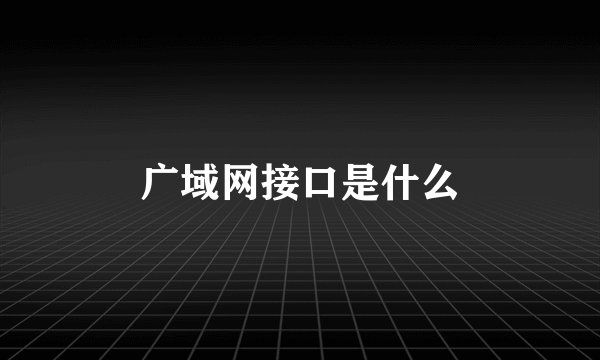 广域网接口是什么