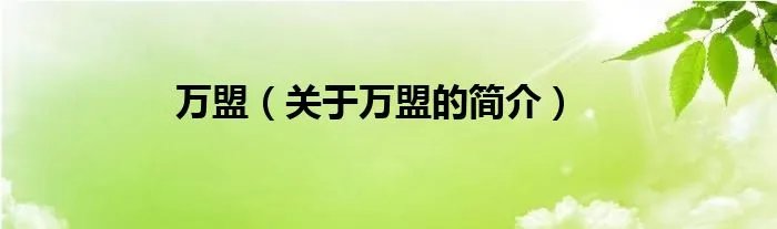 万盟(关于万盟的简介)