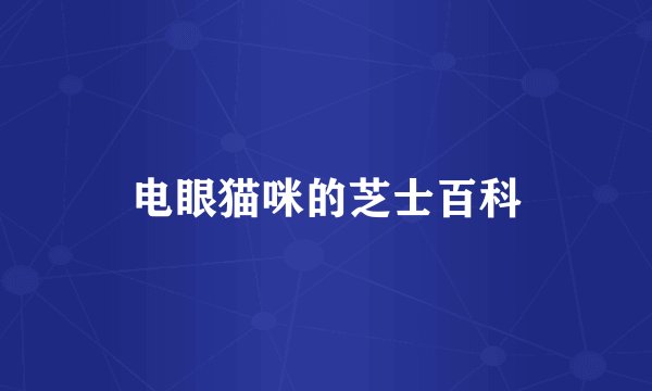 电眼猫咪的芝士百科