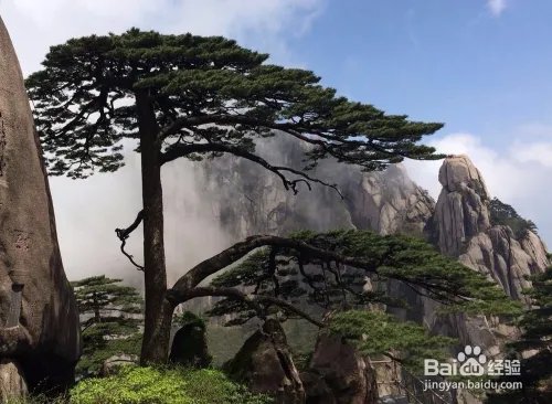 北京到黄山旅游攻略