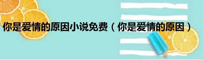 你是爱情的原因小说免费（你是爱情的原因）