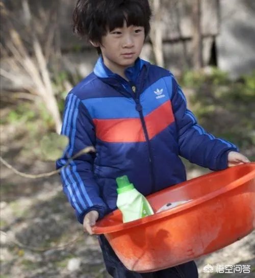 对于娱乐圈明星的孩子上真人秀有什么看法？这会影响孩子成长吗？