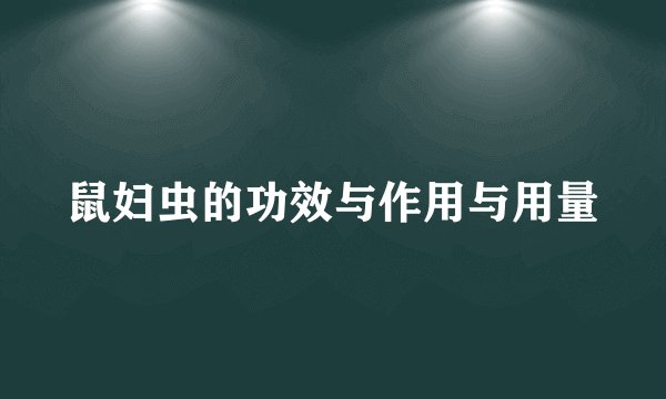 鼠妇虫的功效与作用与用量
