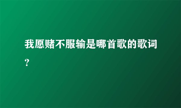 我愿赌不服输是哪首歌的歌词?
