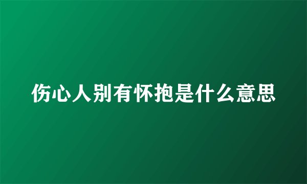 伤心人别有怀抱是什么意思