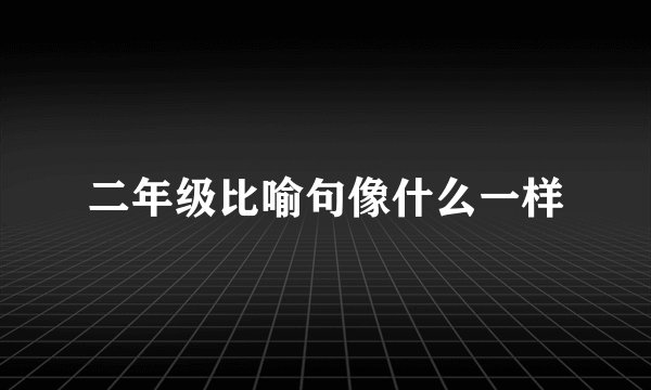 二年级比喻句像什么一样