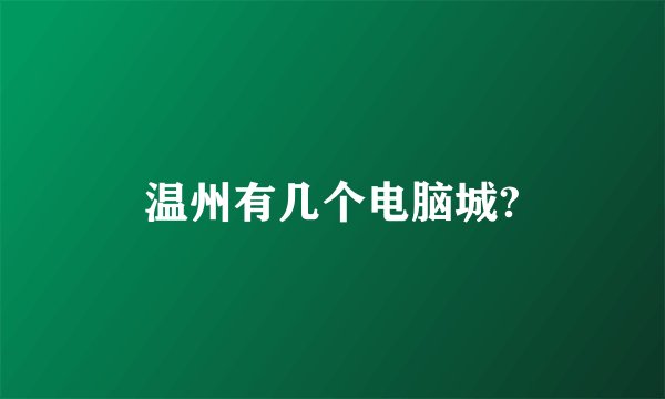 温州有几个电脑城?