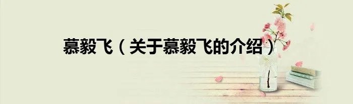 慕毅飞（关于慕毅飞的介绍）