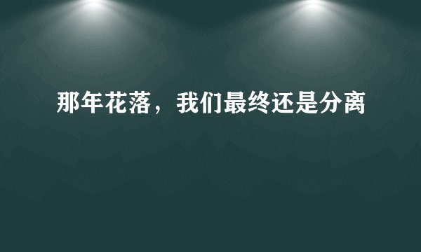 那年花落，我们最终还是分离