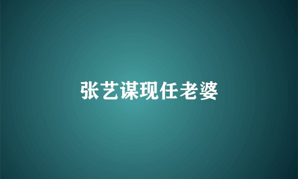 张艺谋现任老婆