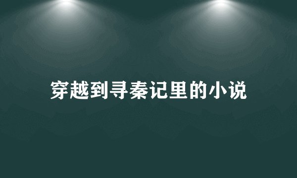 穿越到寻秦记里的小说