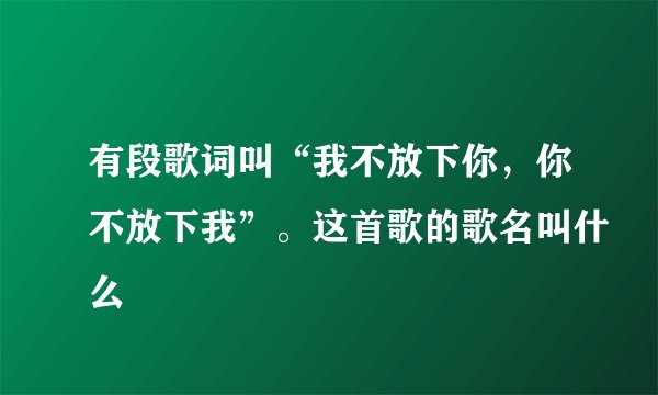 有段歌词叫“我不放下你，你不放下我”。这首歌的歌名叫什么