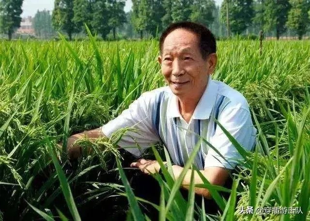 袁隆平真的逝世了吗?