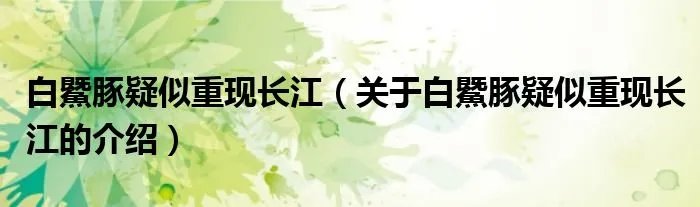 白鱀豚疑似重现长江(关于白鱀豚疑似重现长江的介绍)