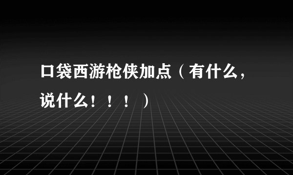 口袋西游枪侠加点（有什么，说什么！！！）