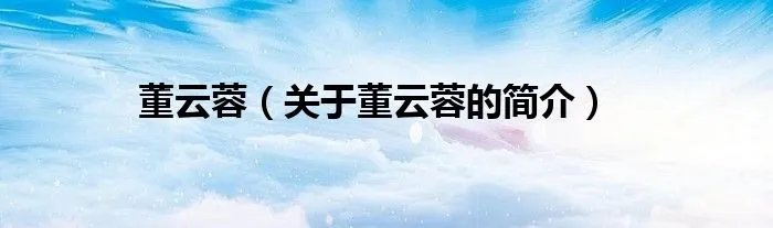 董云蓉（关于董云蓉的简介）