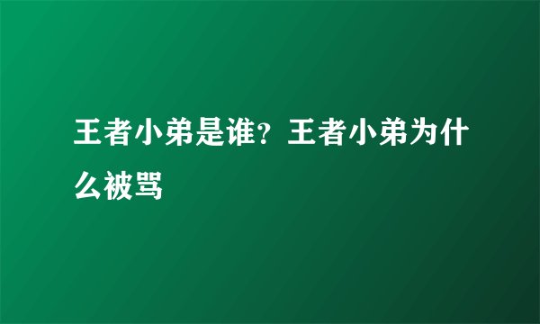 王者小弟是谁？王者小弟为什么被骂