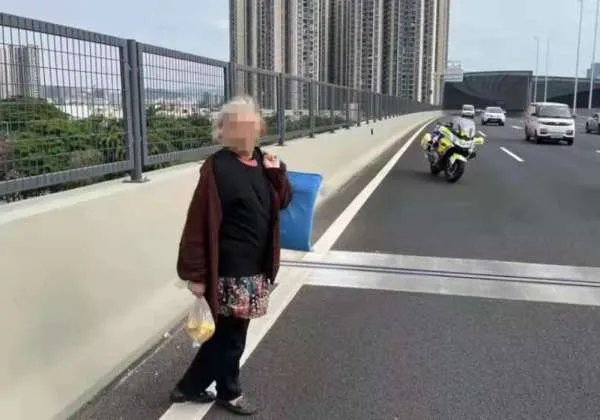 广西河池女子清明节上高速后迷路被困4天,女子是如何走出来的?