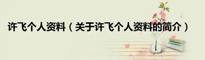 许飞个人资料(关于许飞个人资料的简介)