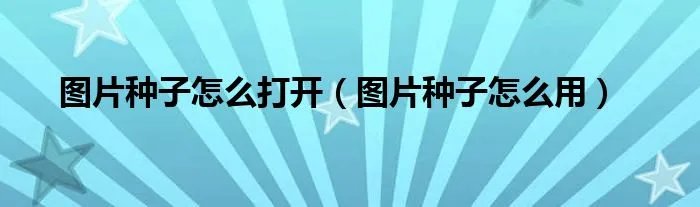 图片种子怎么打开（图片种子怎么用）
