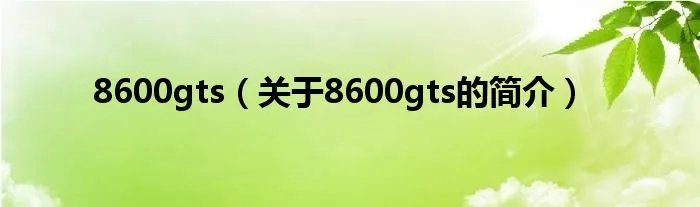 8600gts（关于8600gts的简介）