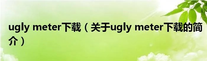 ugly meter下载（关于ugly meter下载的简介）