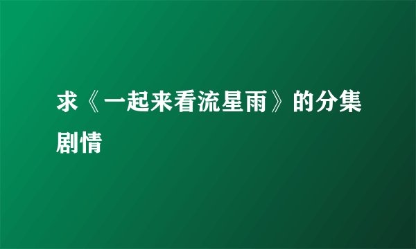 求《一起来看流星雨》的分集剧情