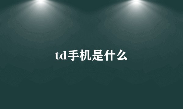 td手机是什么