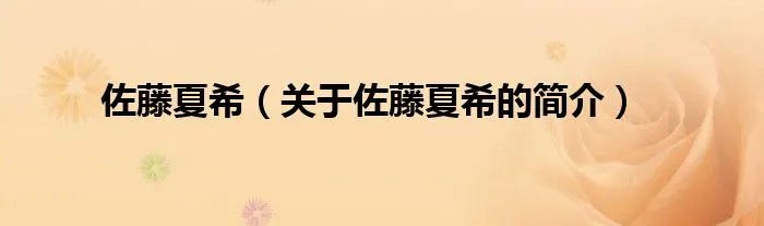 佐藤夏希（关于佐藤夏希的简介）