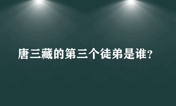 唐三藏的第三个徒弟是谁?