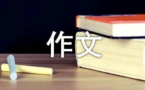 偶然的发现作文