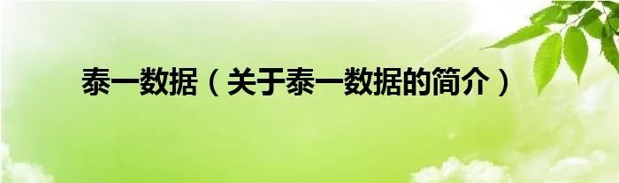 泰一数据（关于泰一数据的简介）